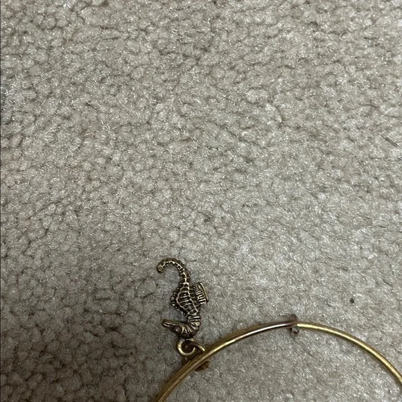 14 Alex and Ani assortment Stack of Mixed Metal Charm Bangle Bracelets - Picture 11 of 15